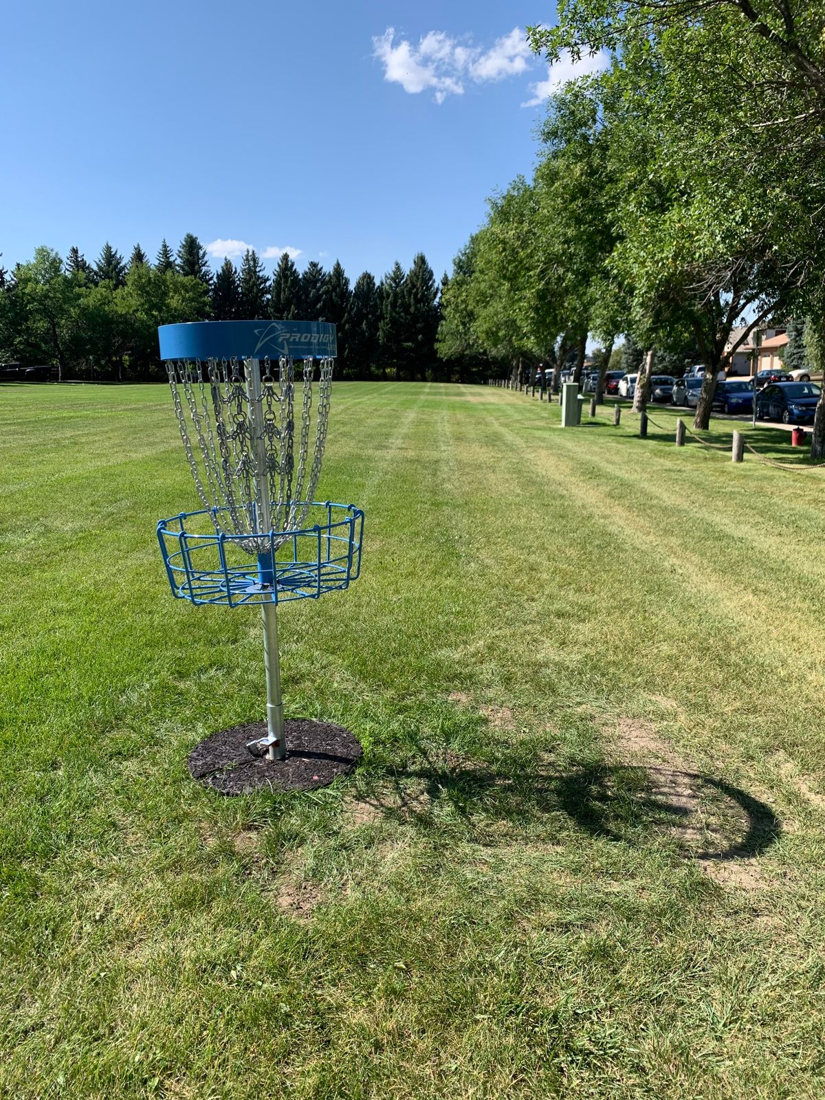 Hole 6 basket