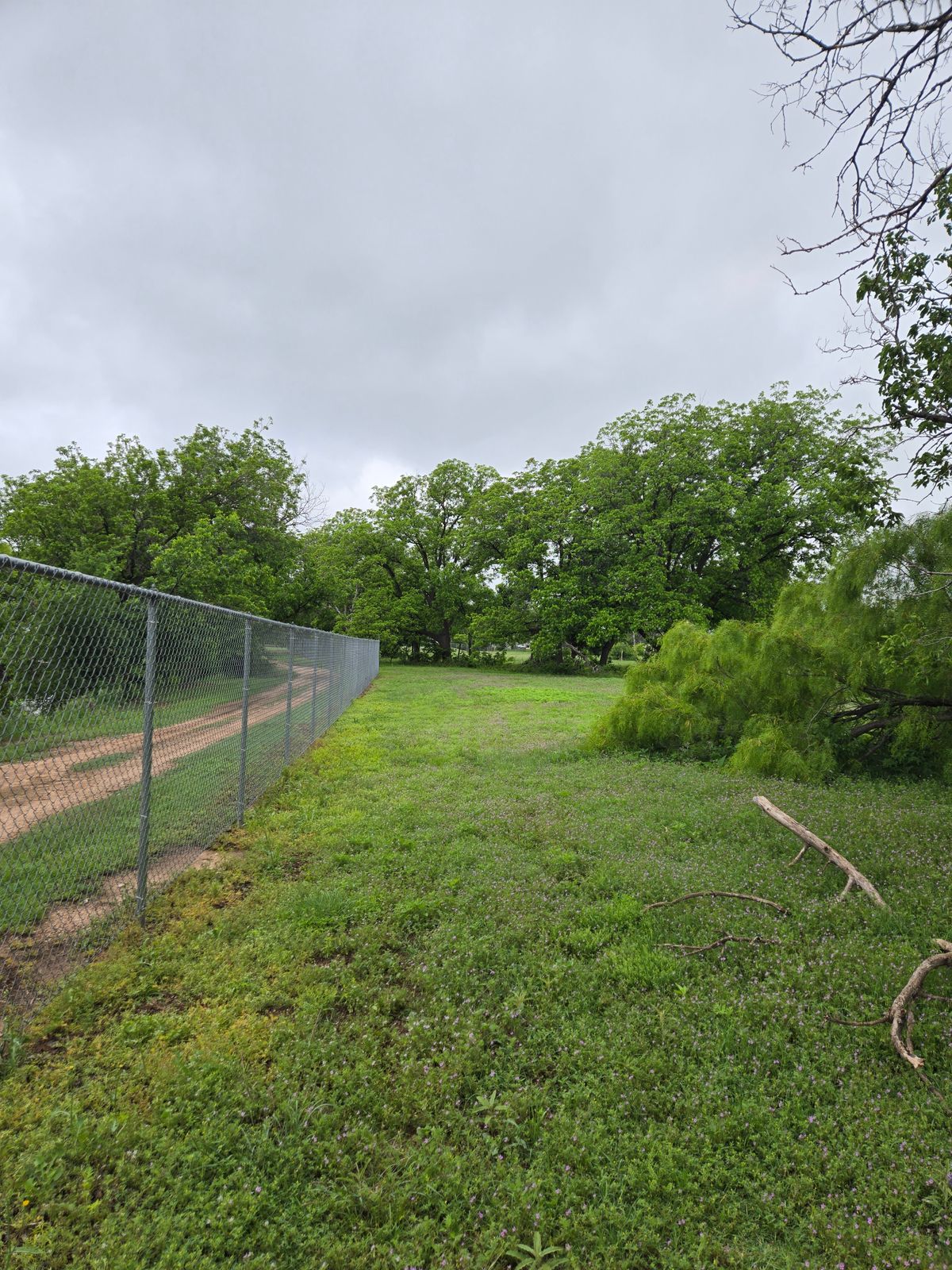 Hole 15 Tee