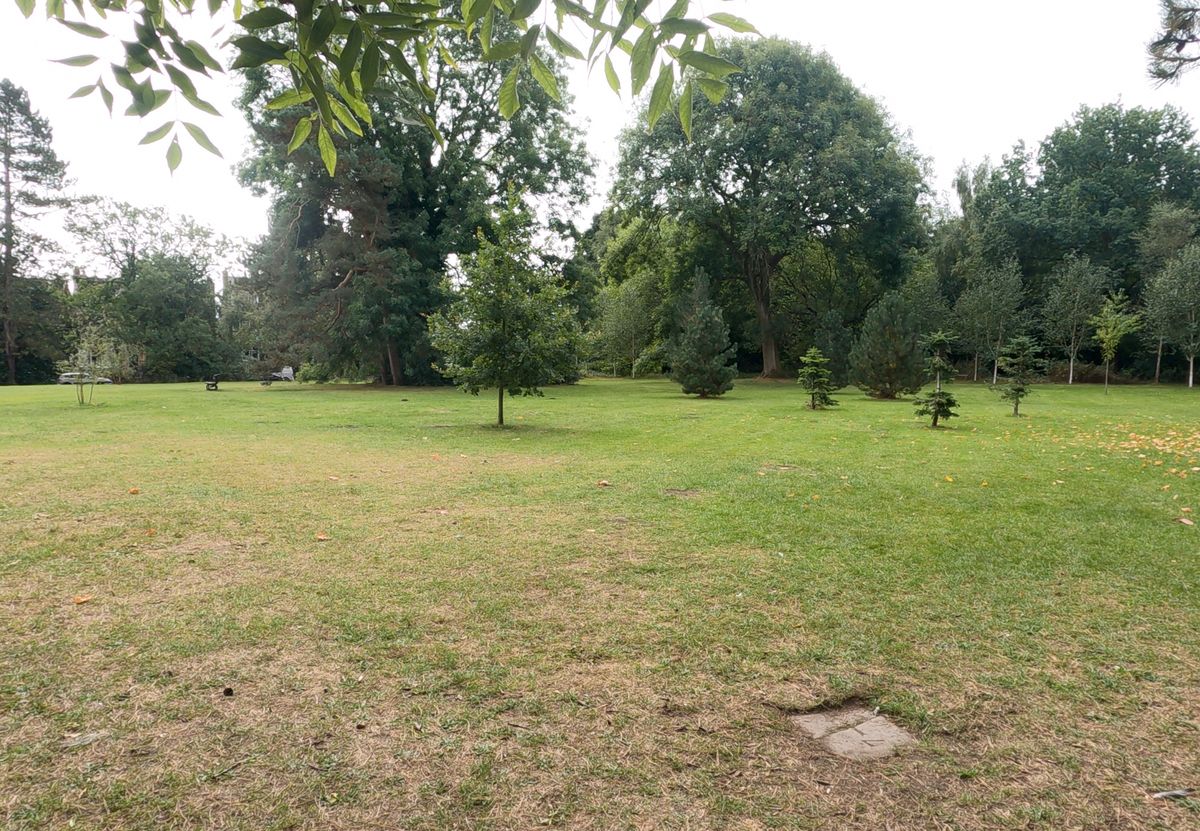 Tee of Hole 7.