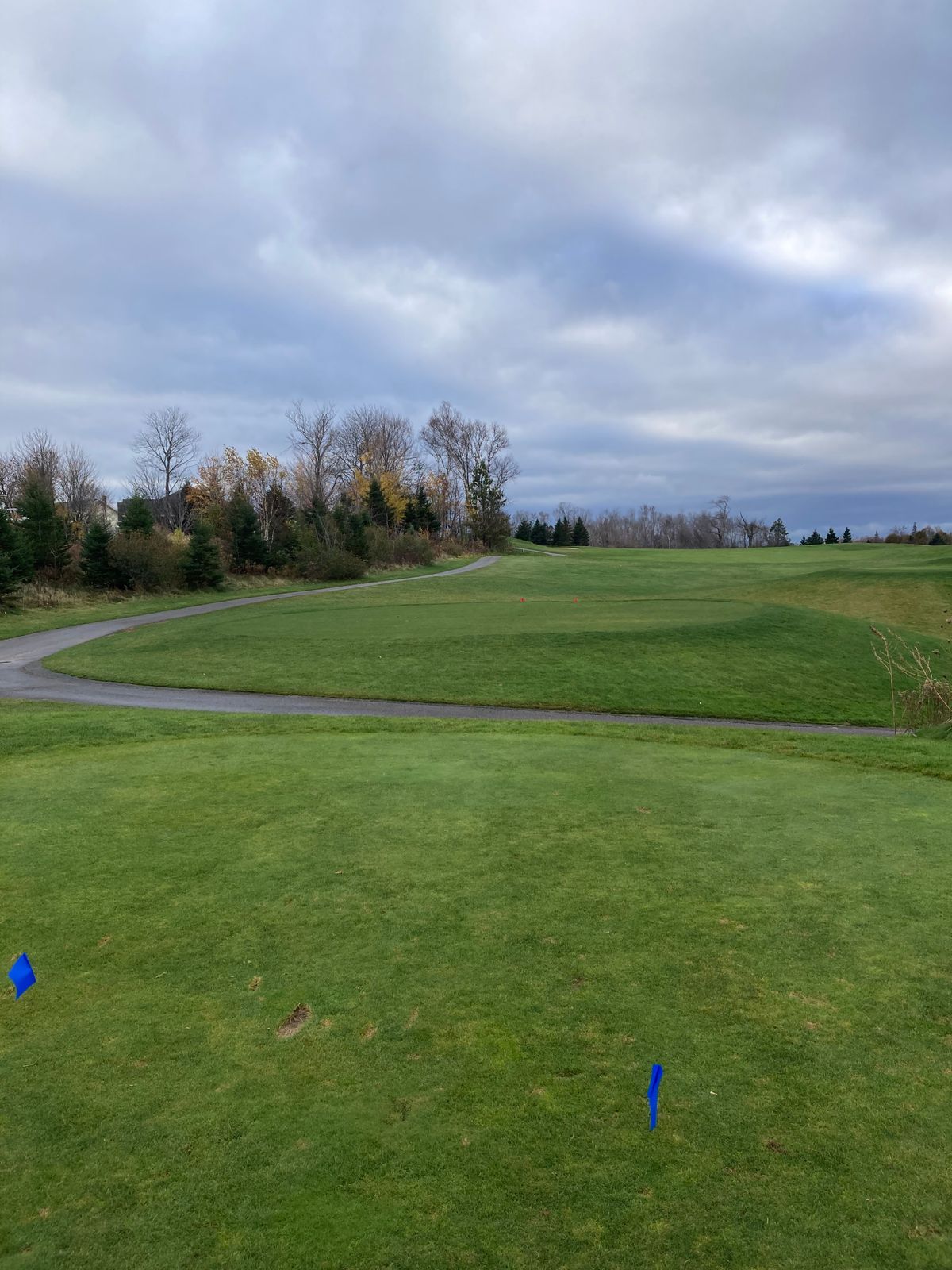 Hole 15 Blue tee.  Slight dogleg left.