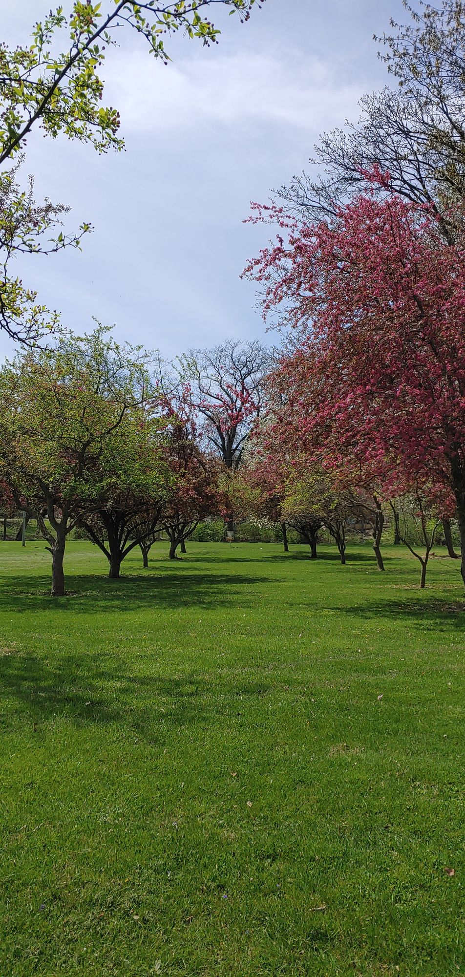 Spring colors