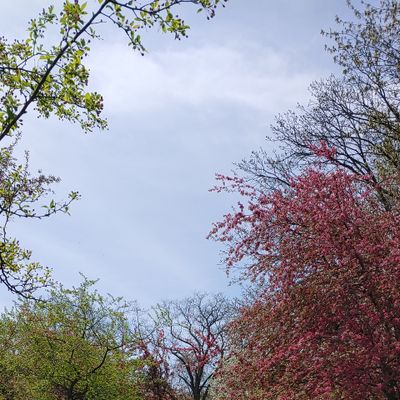 Spring colors