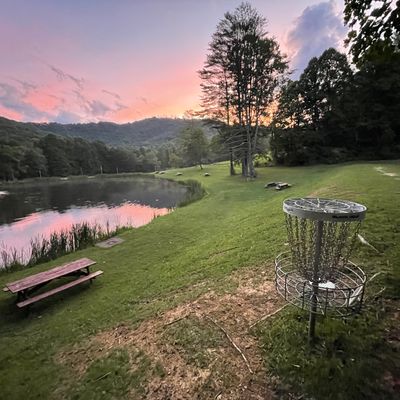 View from the basket, back towards the fairway