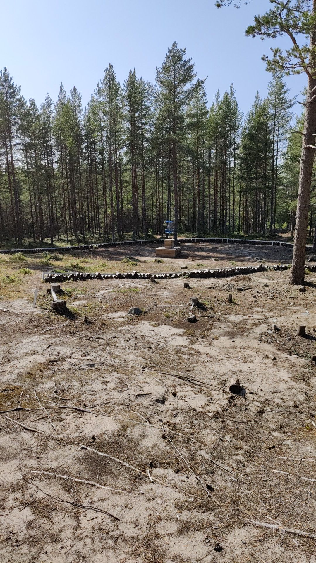 Väylä 12, hazardia ulkopuolelle sekä korotettu kori