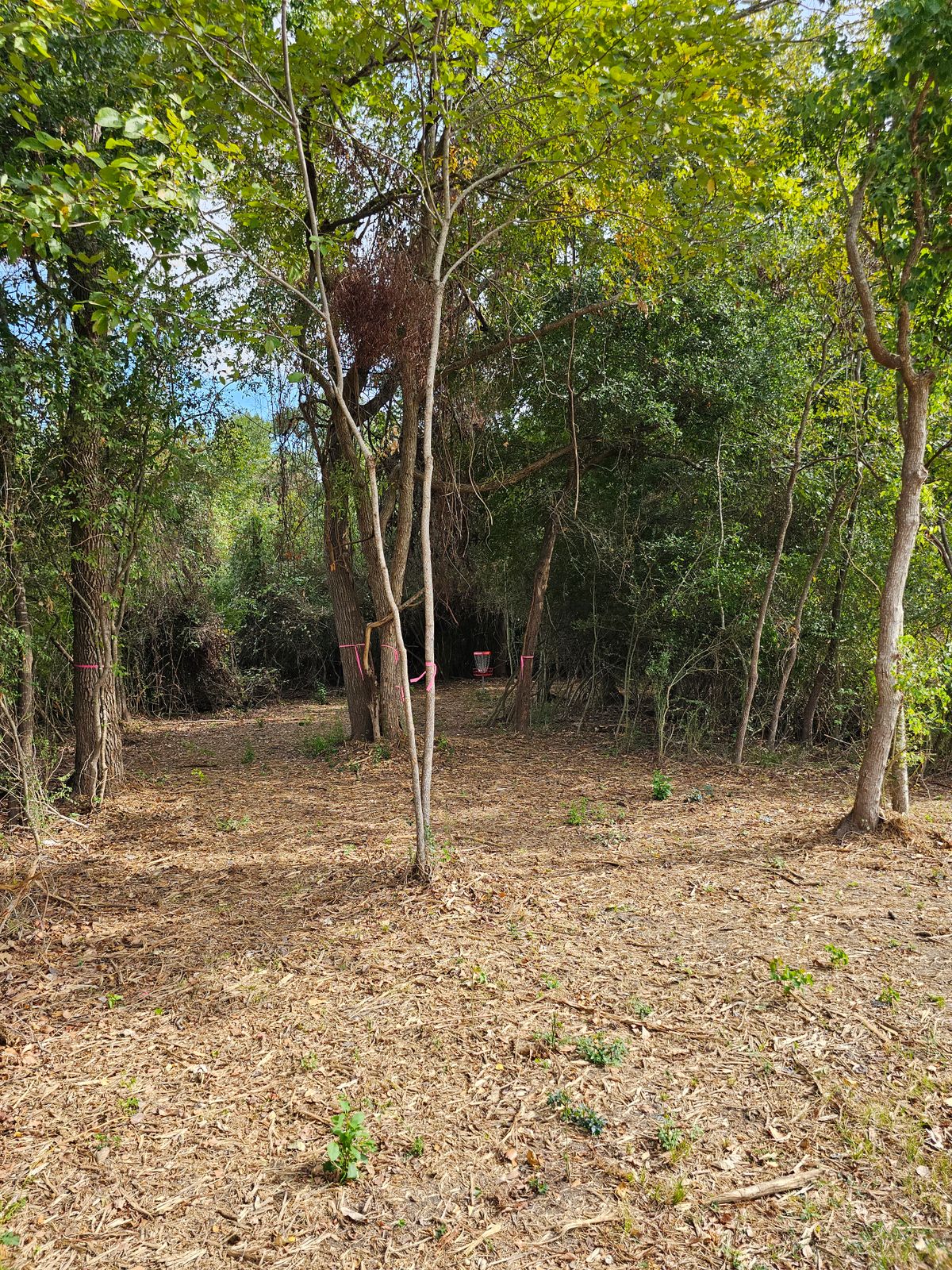 Hole 11 Approach