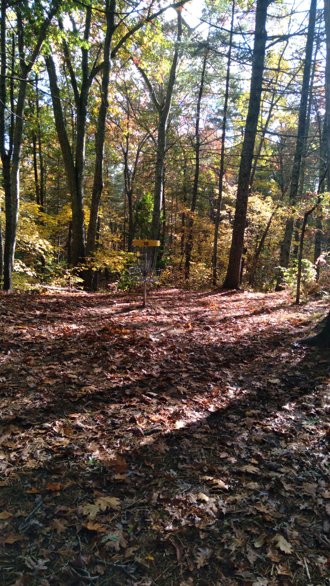 Hole 18 fall foliage