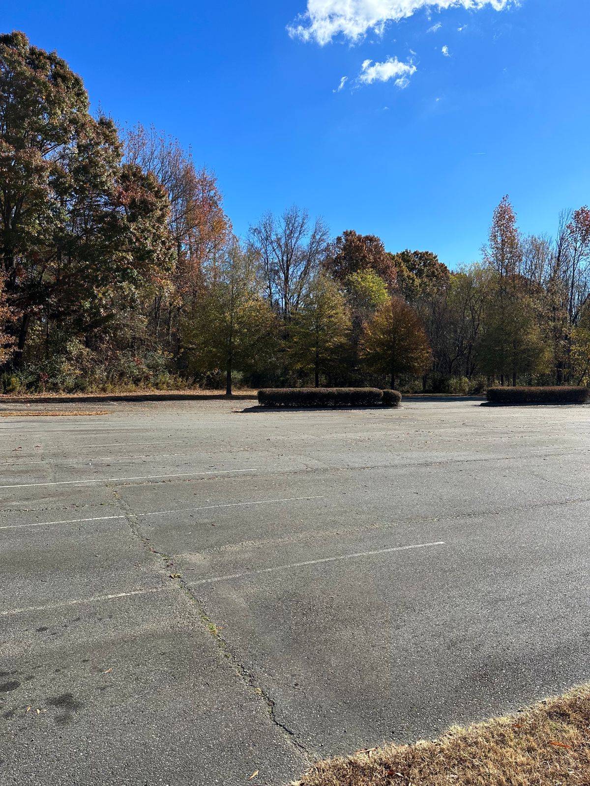 Hole 2 - Plays across the parking lot behind the trees