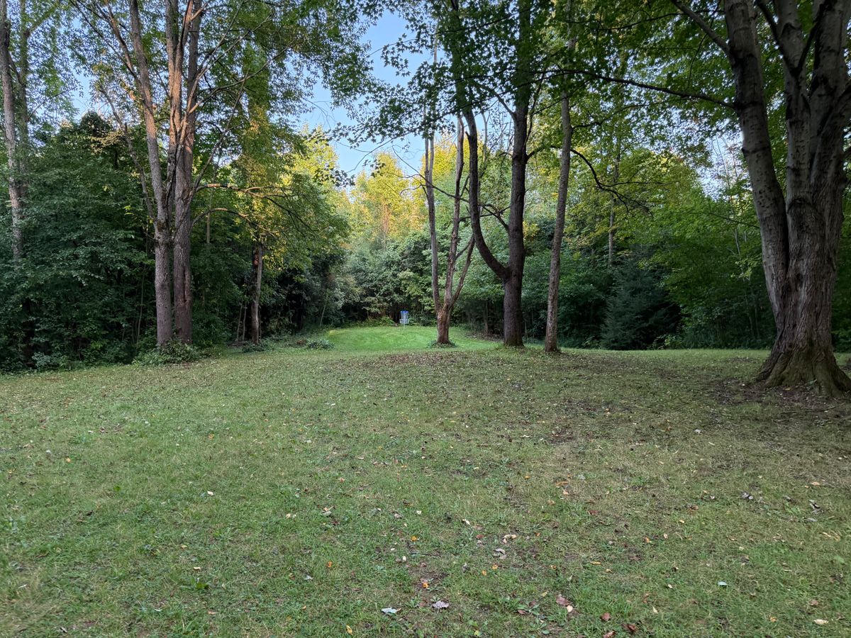 Hole 4 Fairway