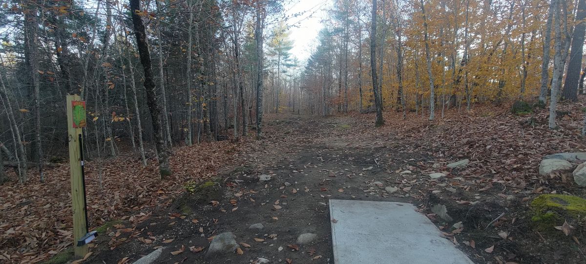 Hole 5