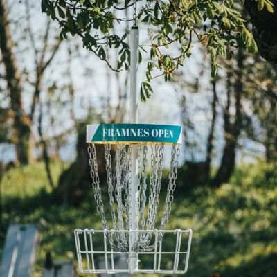 Hanging basket