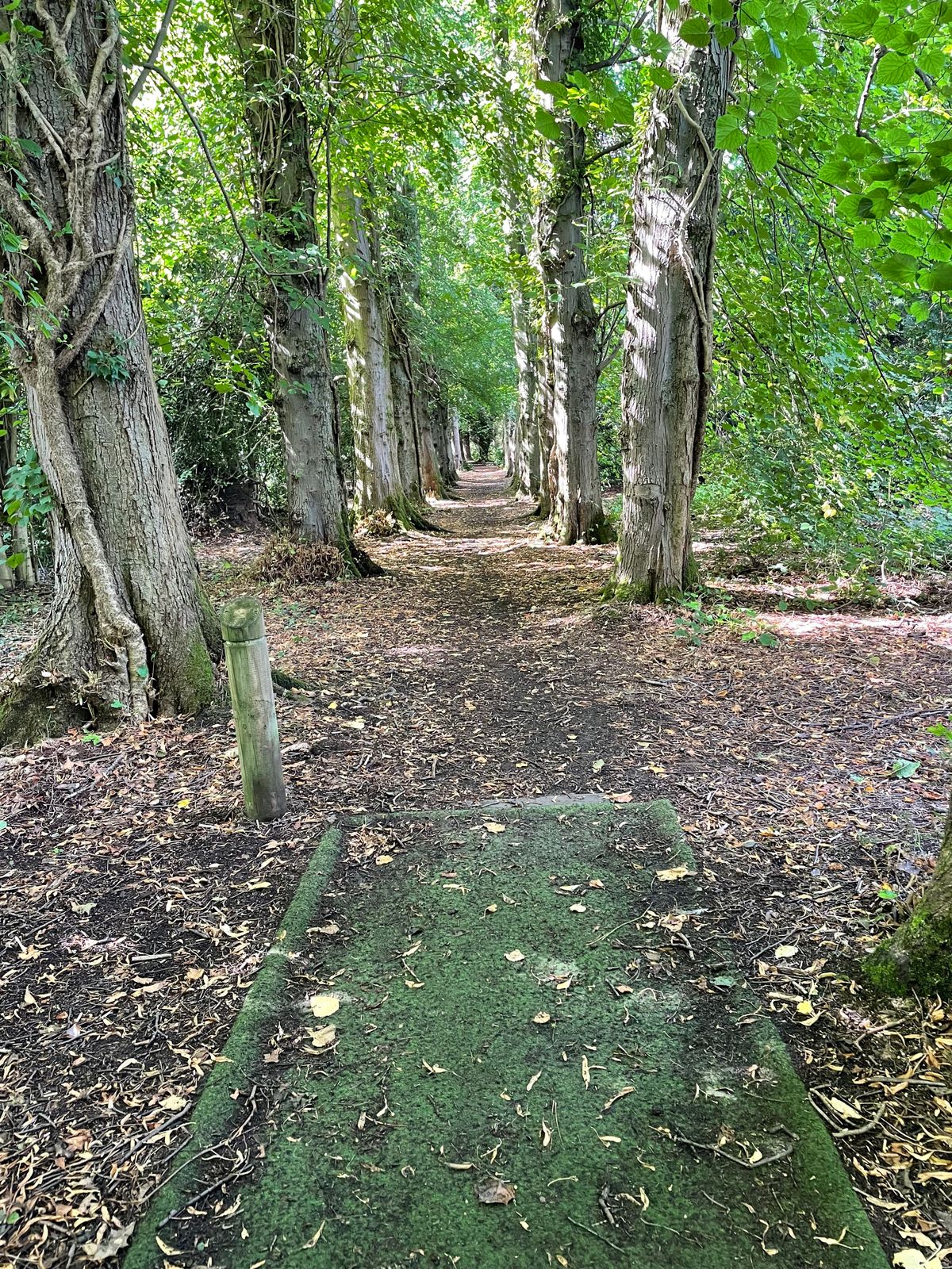 Lots of course maintenance carried out by the Glasgow Disc Golf Club