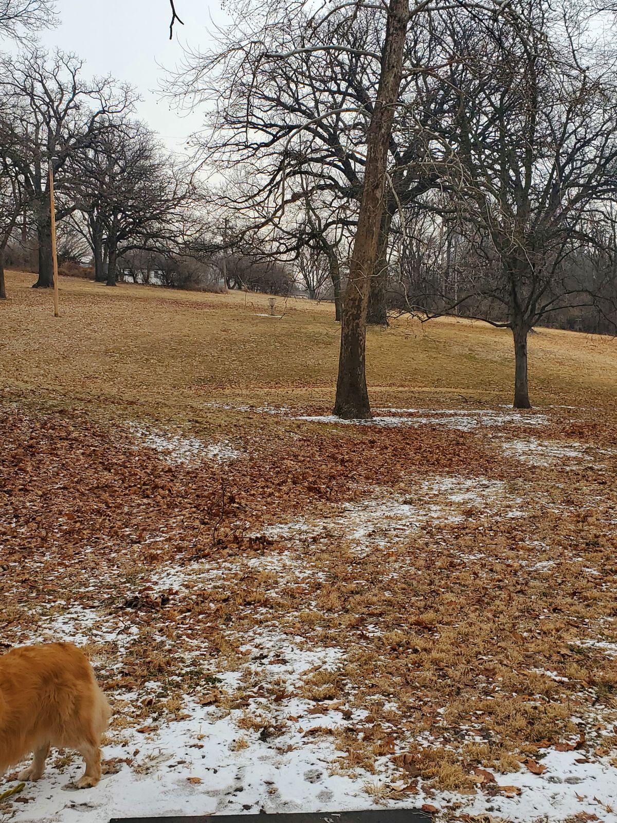 Hole 8