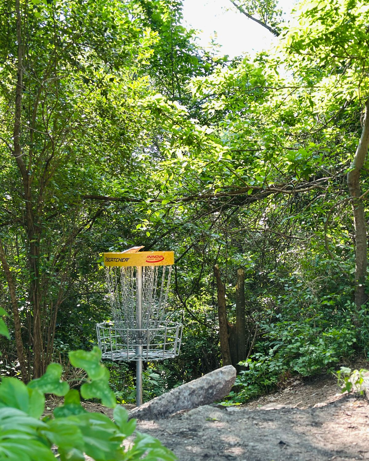 Hole 8 Gold