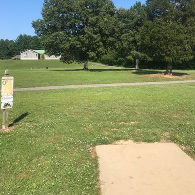 Hole 6 Mando left tree