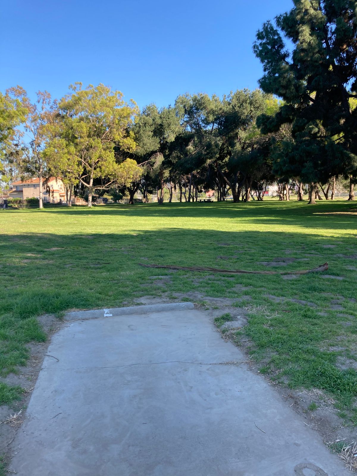 Hole #22