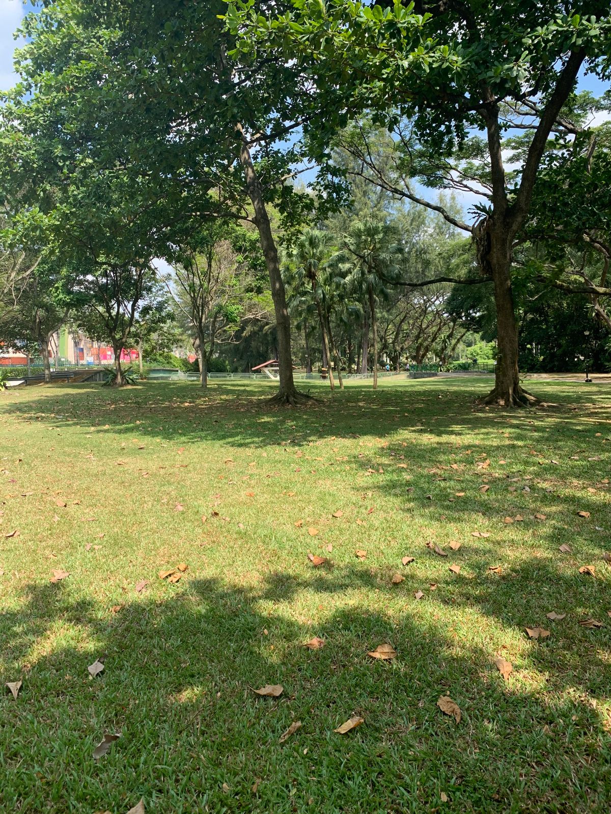 Hole 13 Fairway