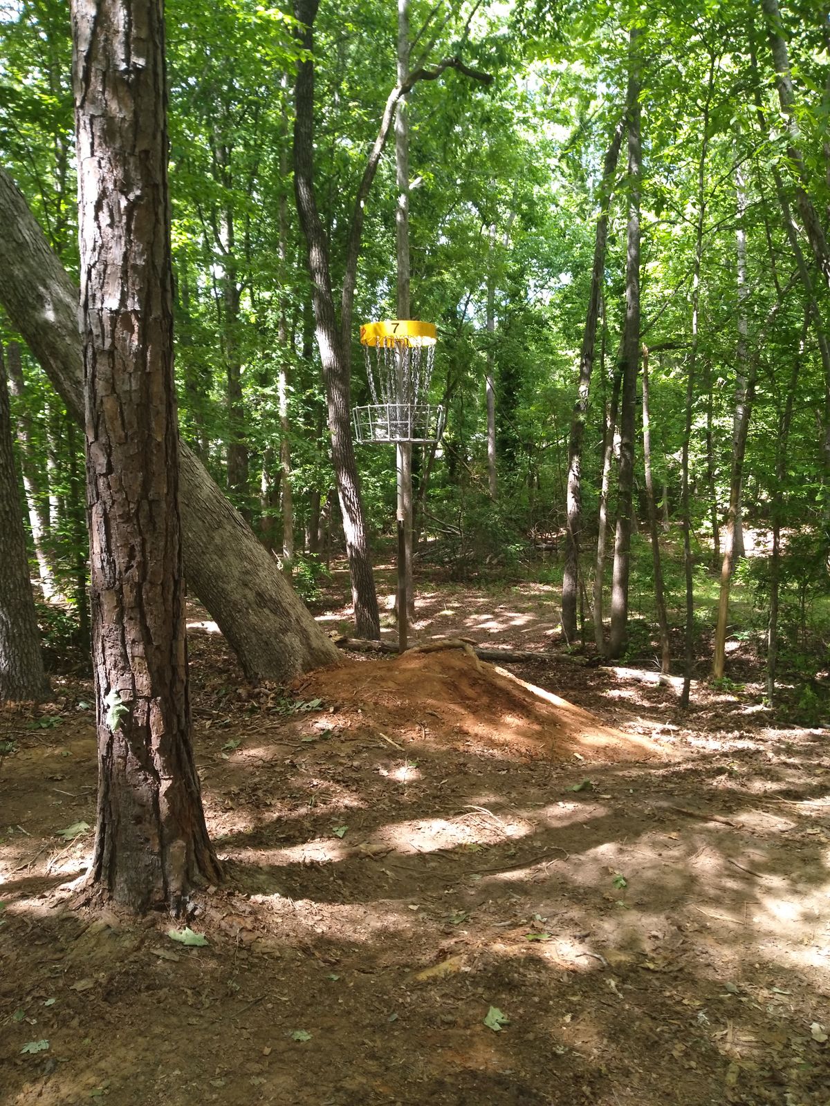 Basket 7 approach. There's a significant drop off behind the basket. Beware!