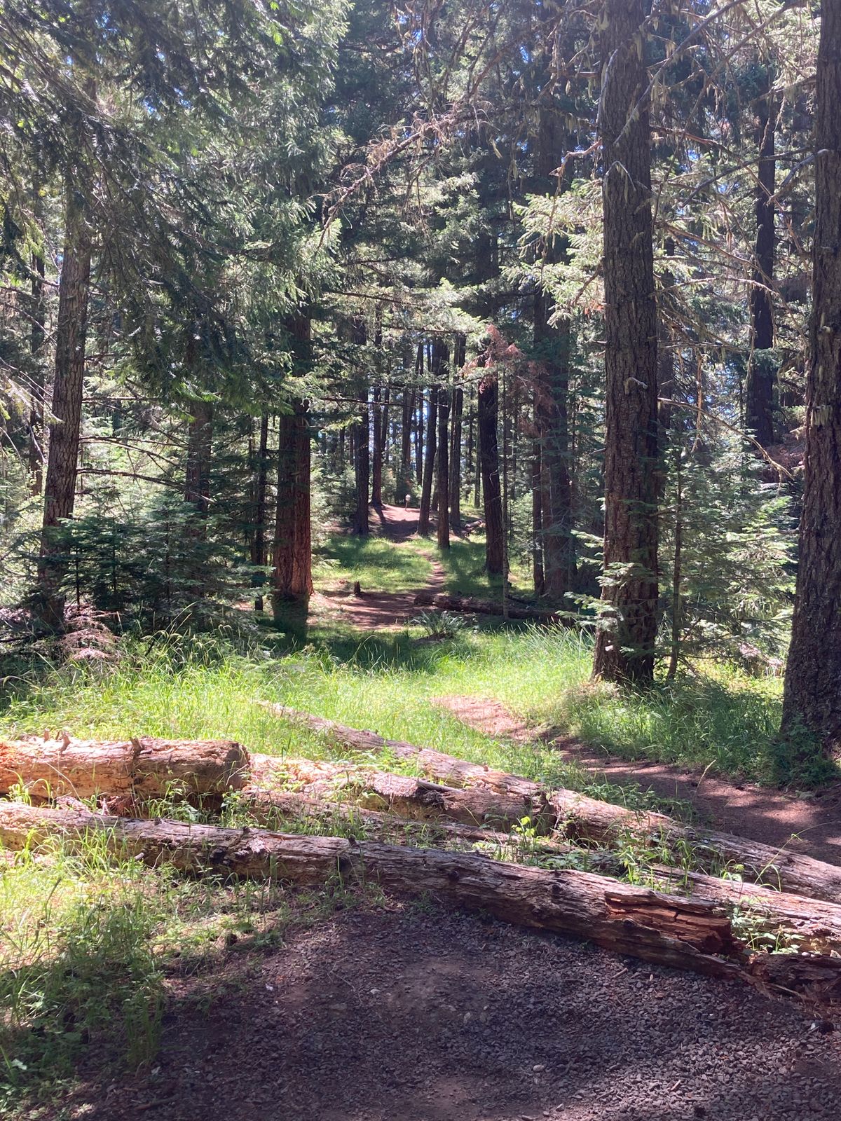 Hole 1