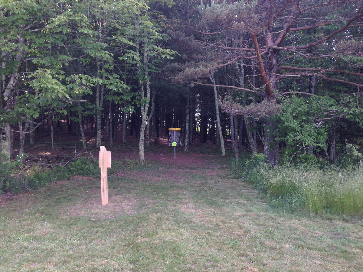 Hole 8
