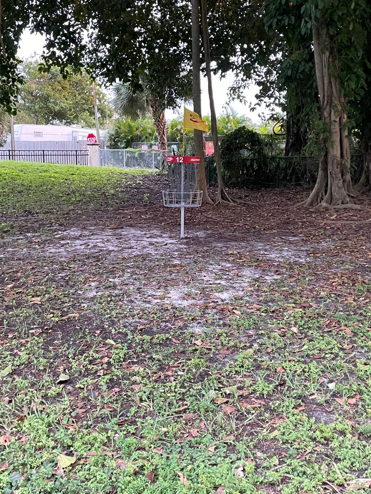 Hole 12 Basket
