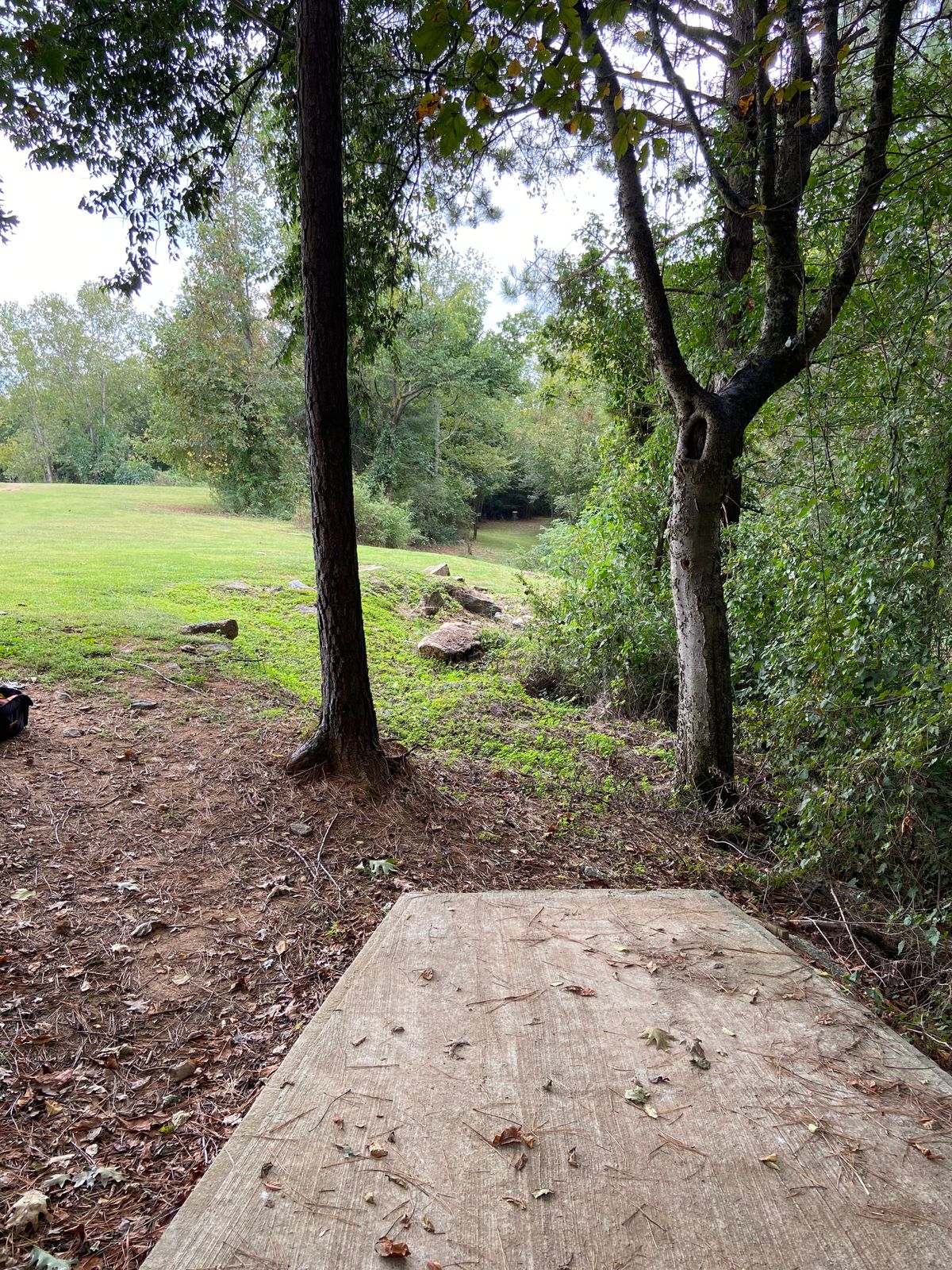 #7 Tee box