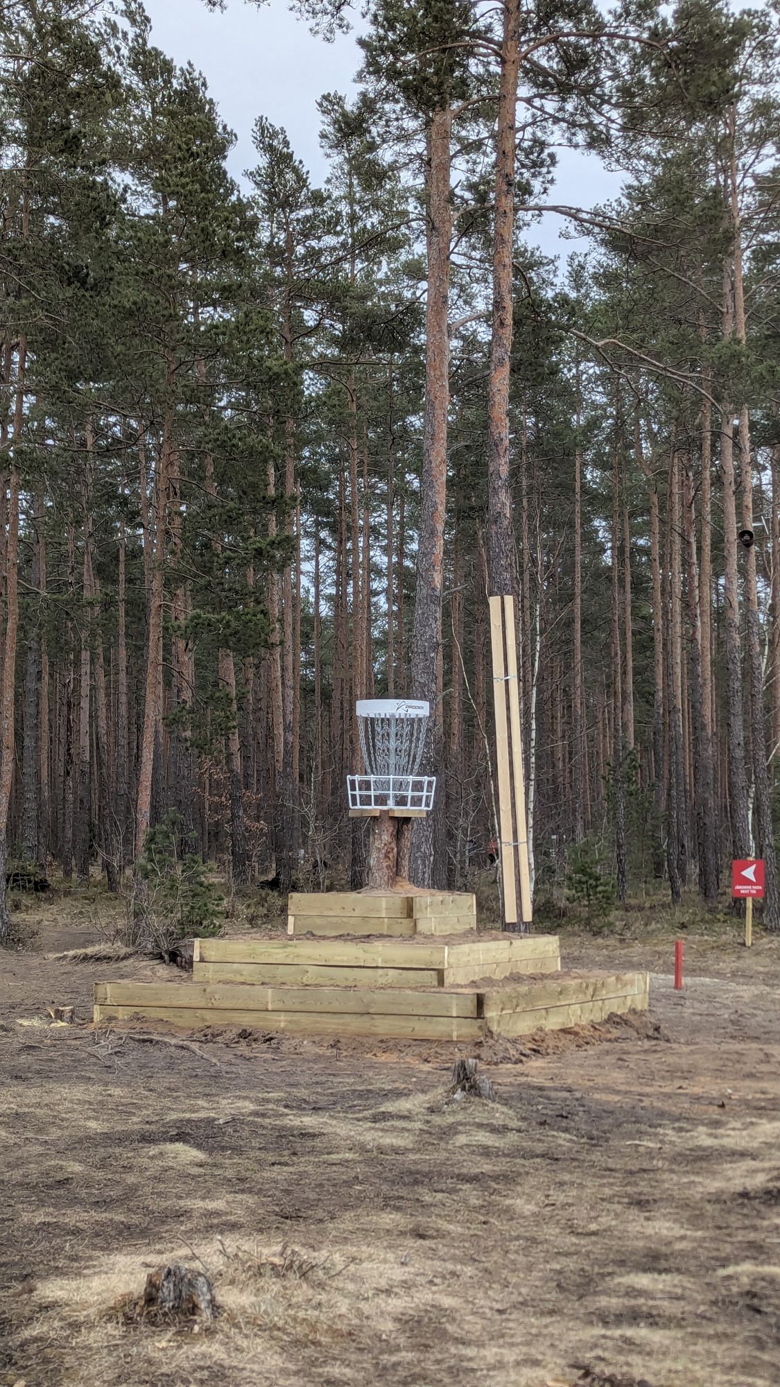 Hole 8, the island hole. Elevated basket with steps.