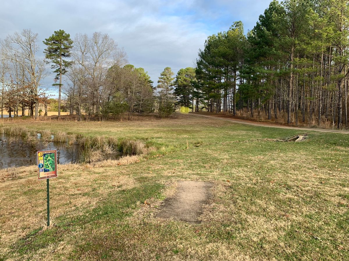 Hole 3, basket is highlighted