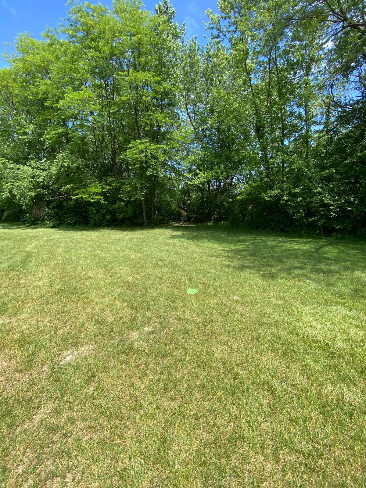 Hole 15 Green