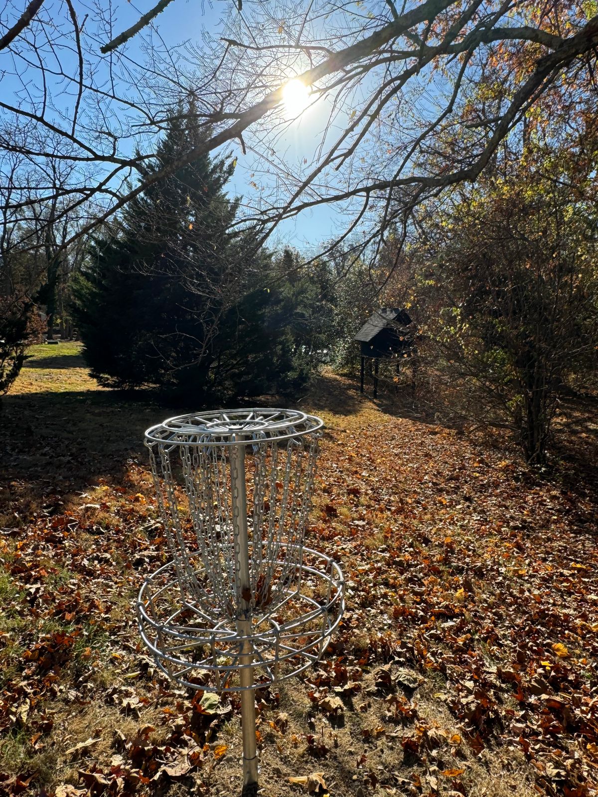 Hole 2 Basket with Bat House
