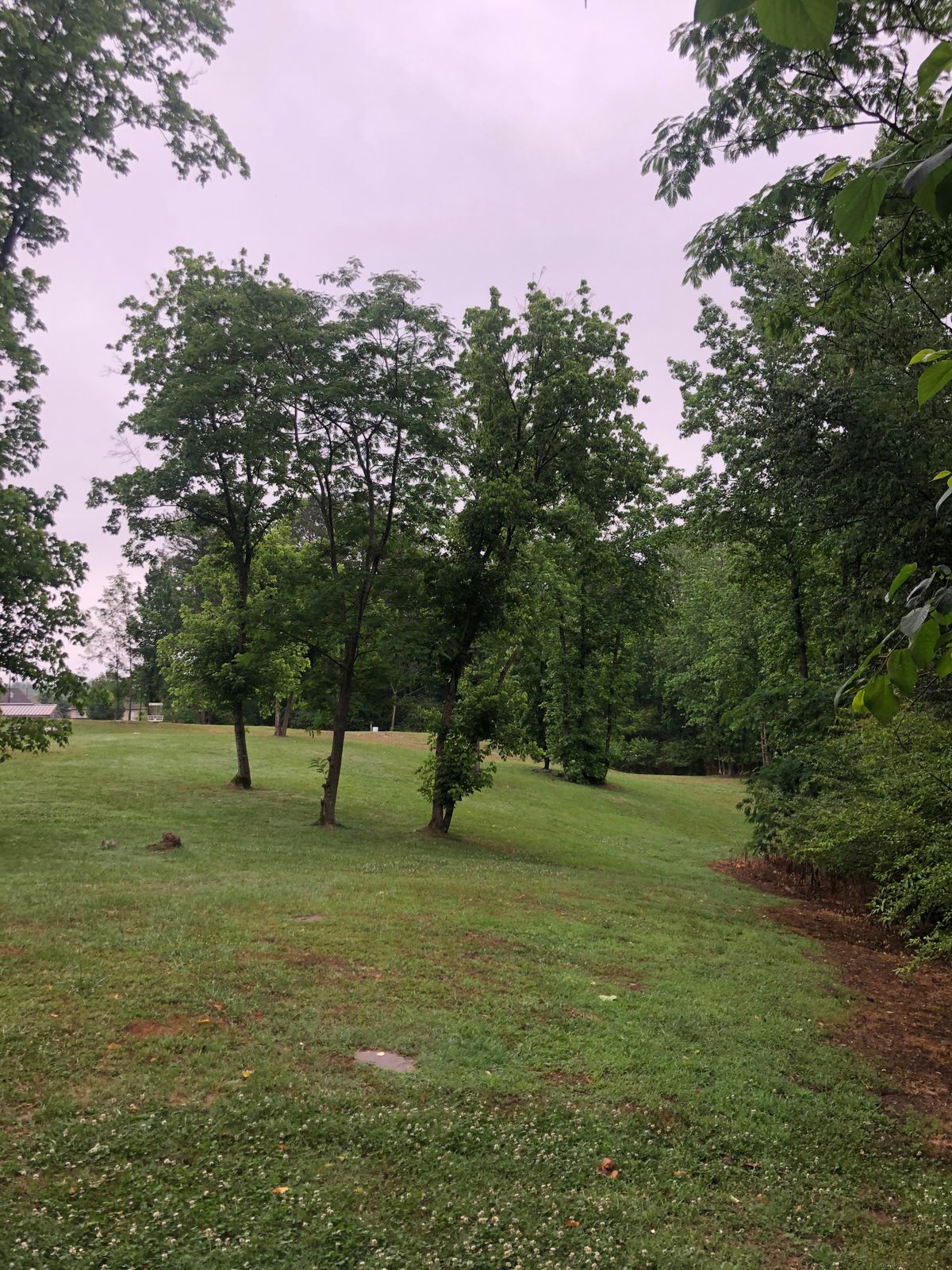 Hole 11