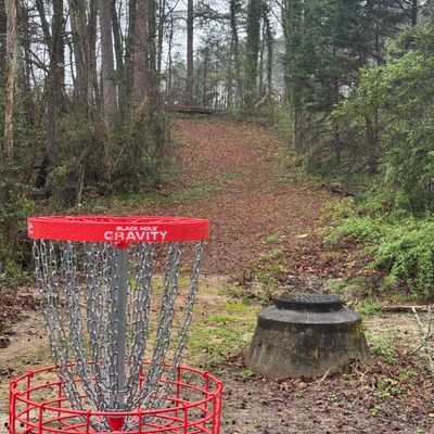 Basket view back up 11 fairway