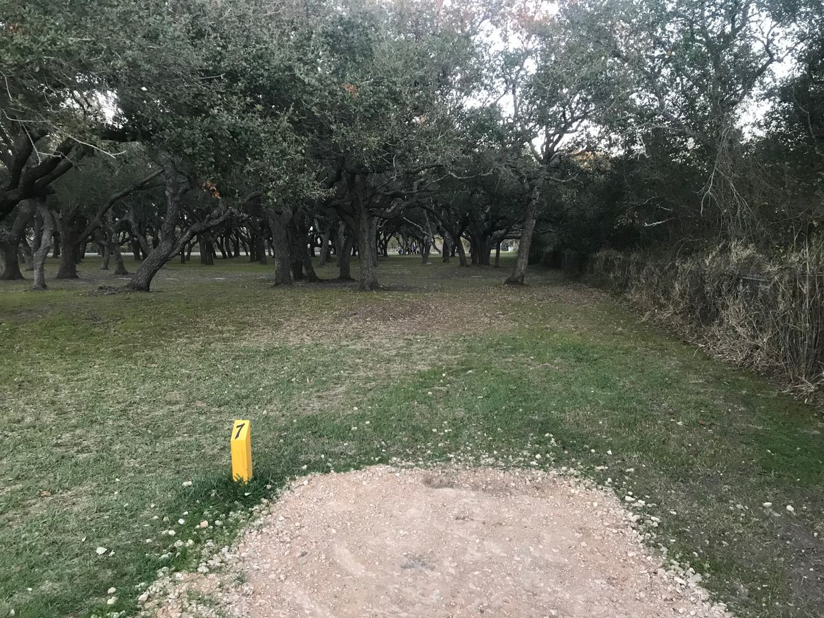 Tee 7
