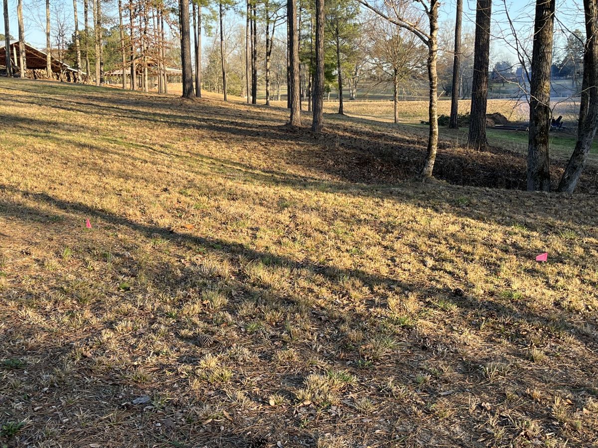 Hole 9 - tee to basket