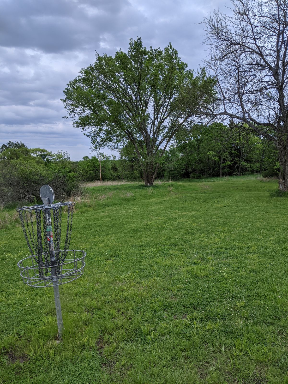 Basket to fairway 15
