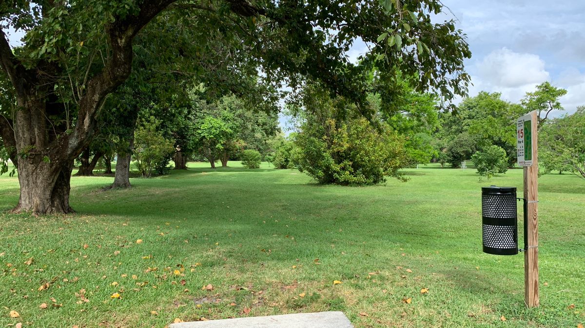 Hole 15