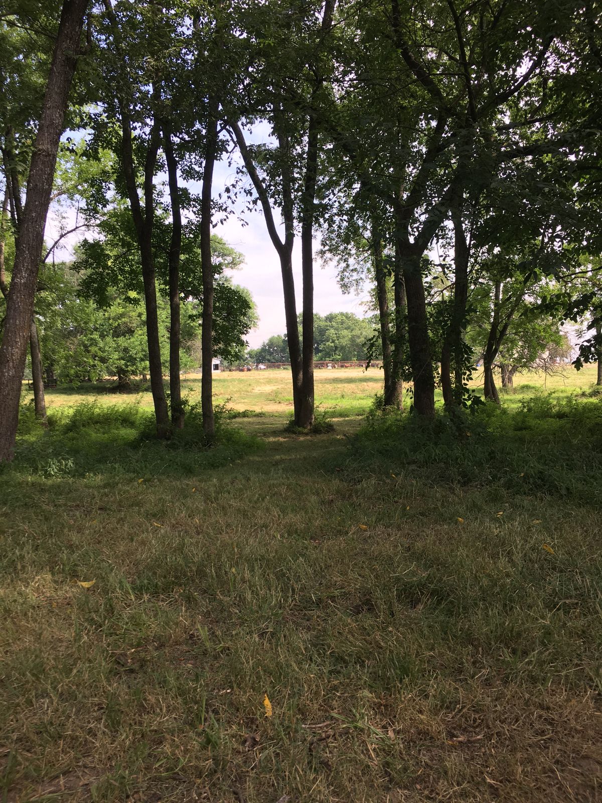 Hole 9 Tee