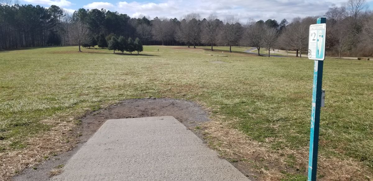 Hole 2 Tee Pads