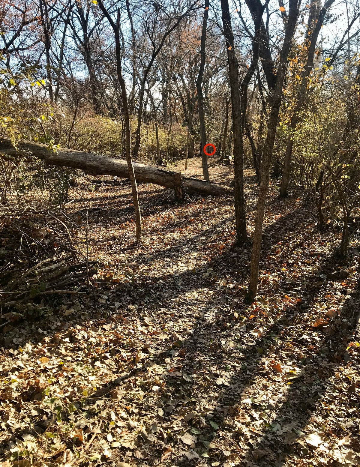 Hole 3 Tee