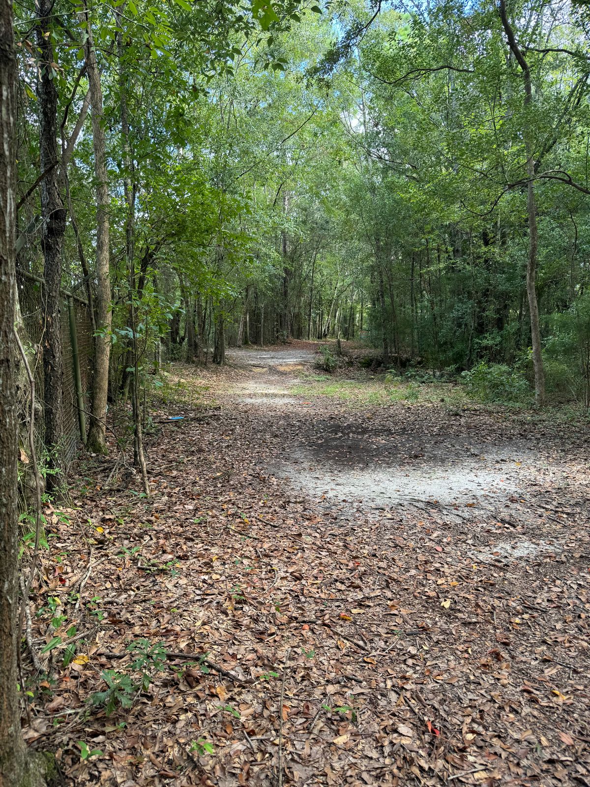 Hole 9 mid fairway