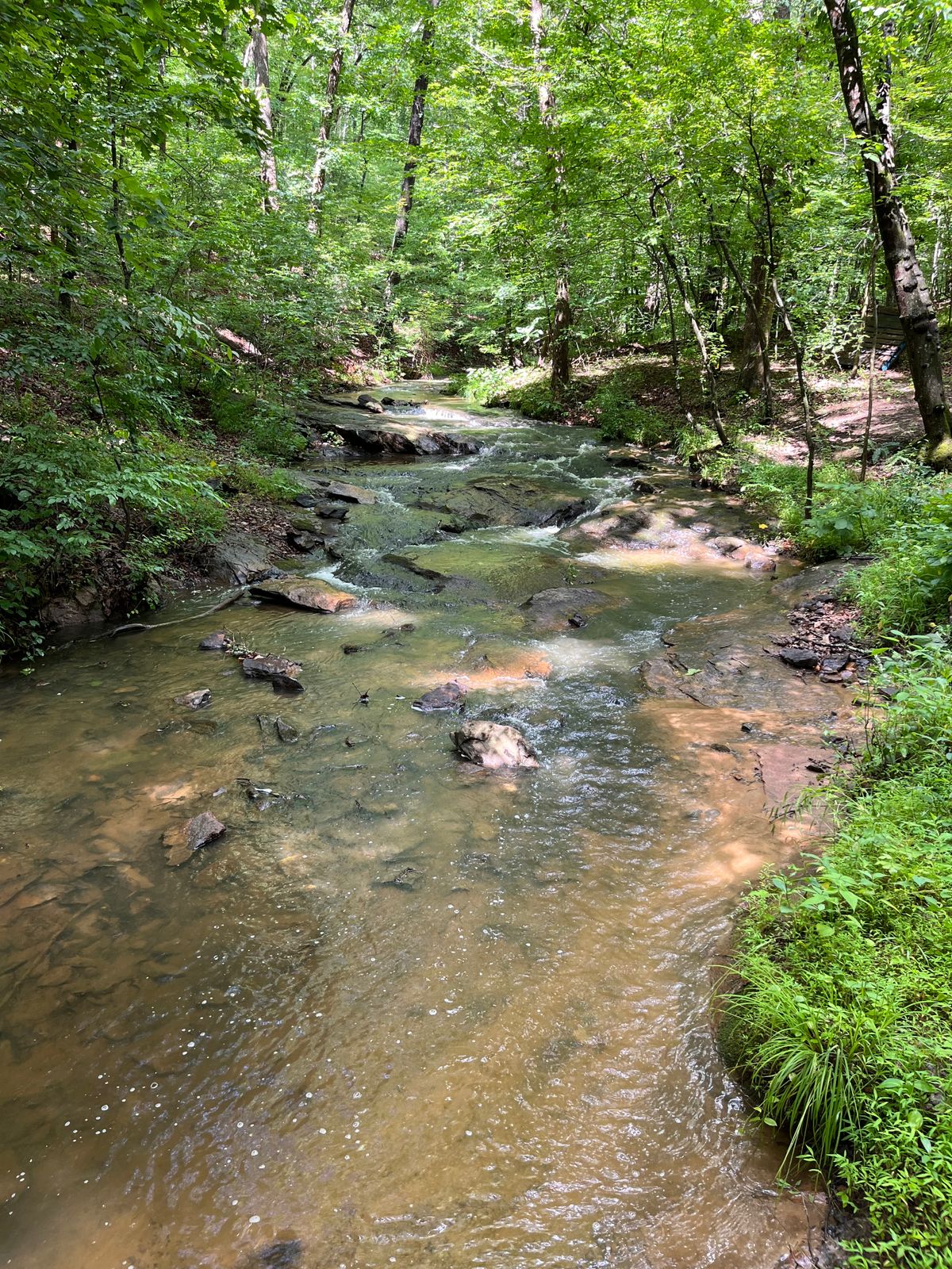 Hole 7 creek