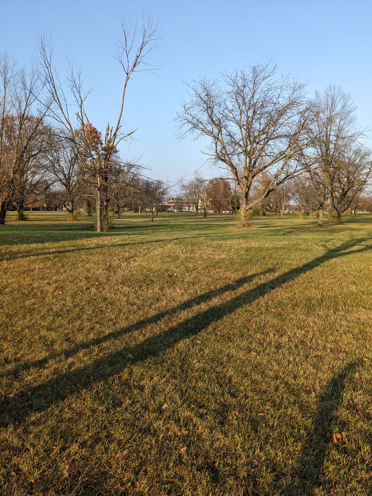Hole 5 view from tee