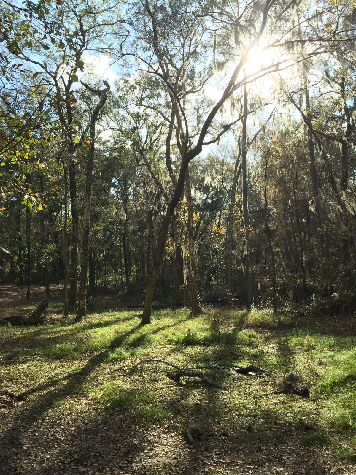 Hole 2