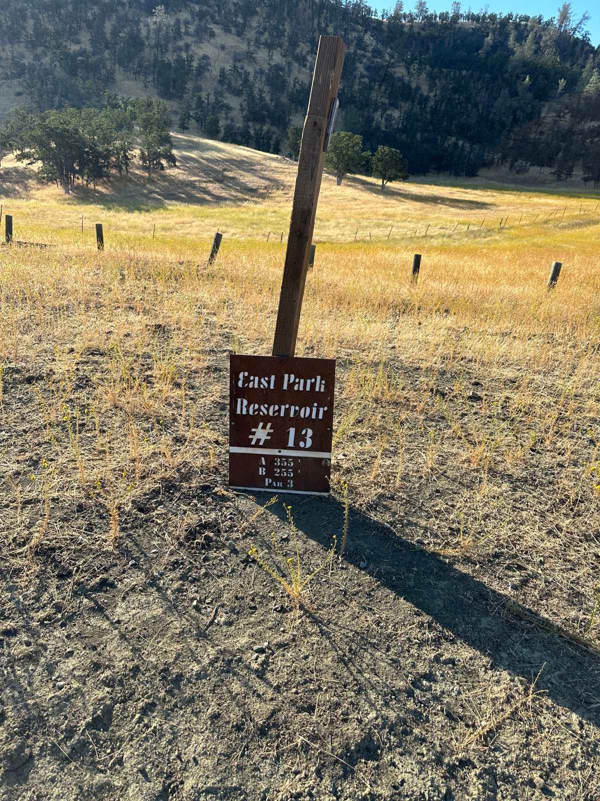 Numerous signs on the ground.