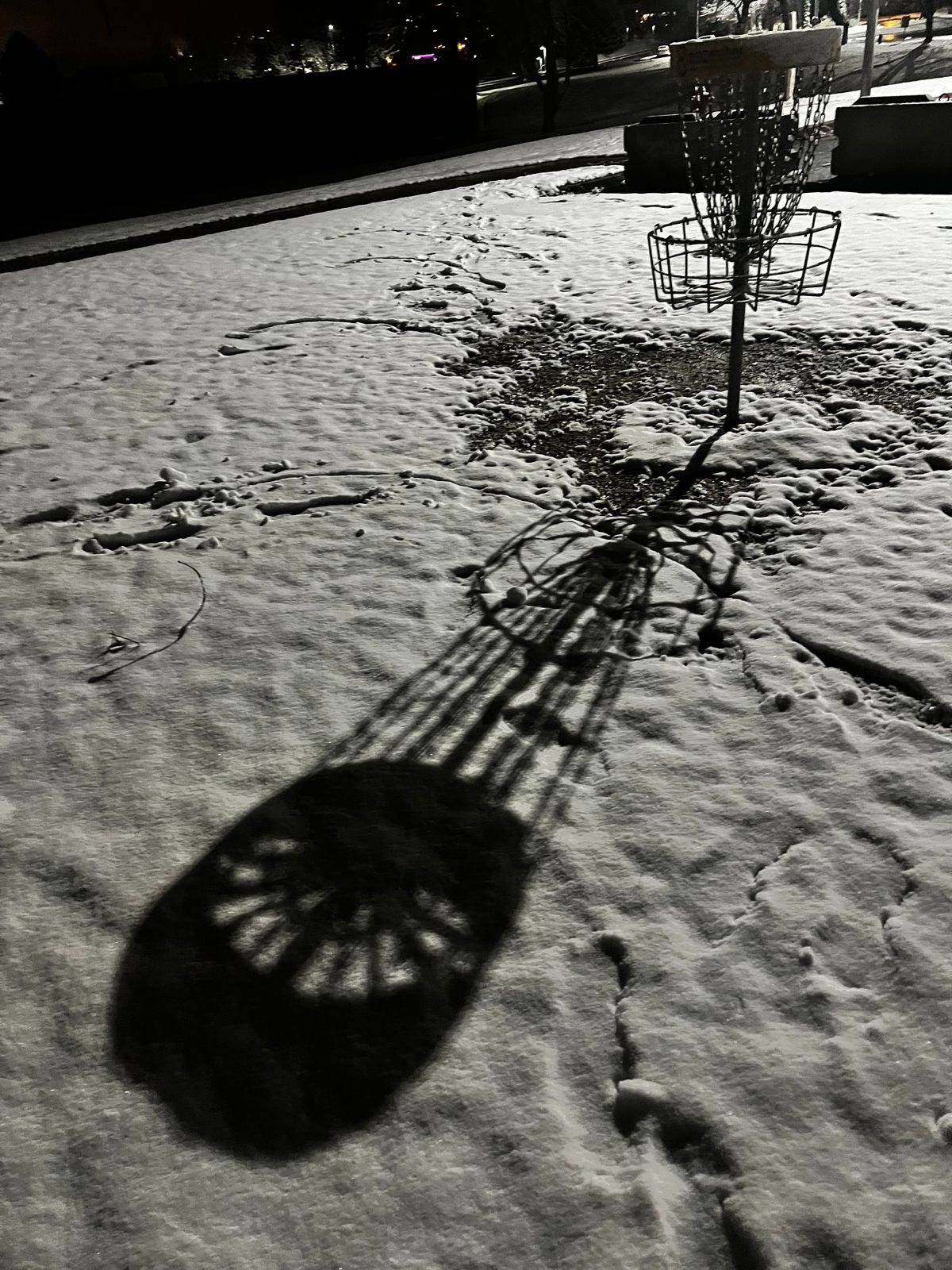 Night disc in the snow.
