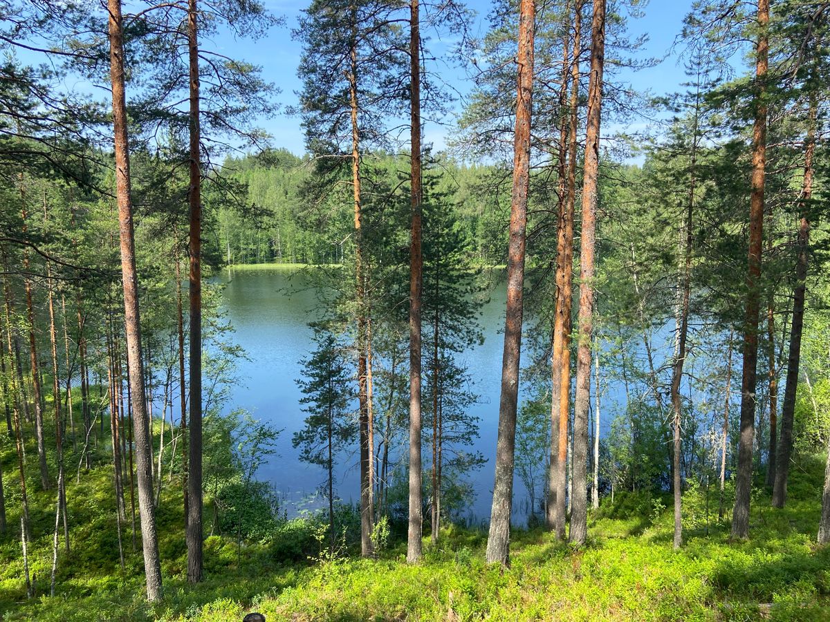 Näkymä kolmosen tiin läheisyydestä