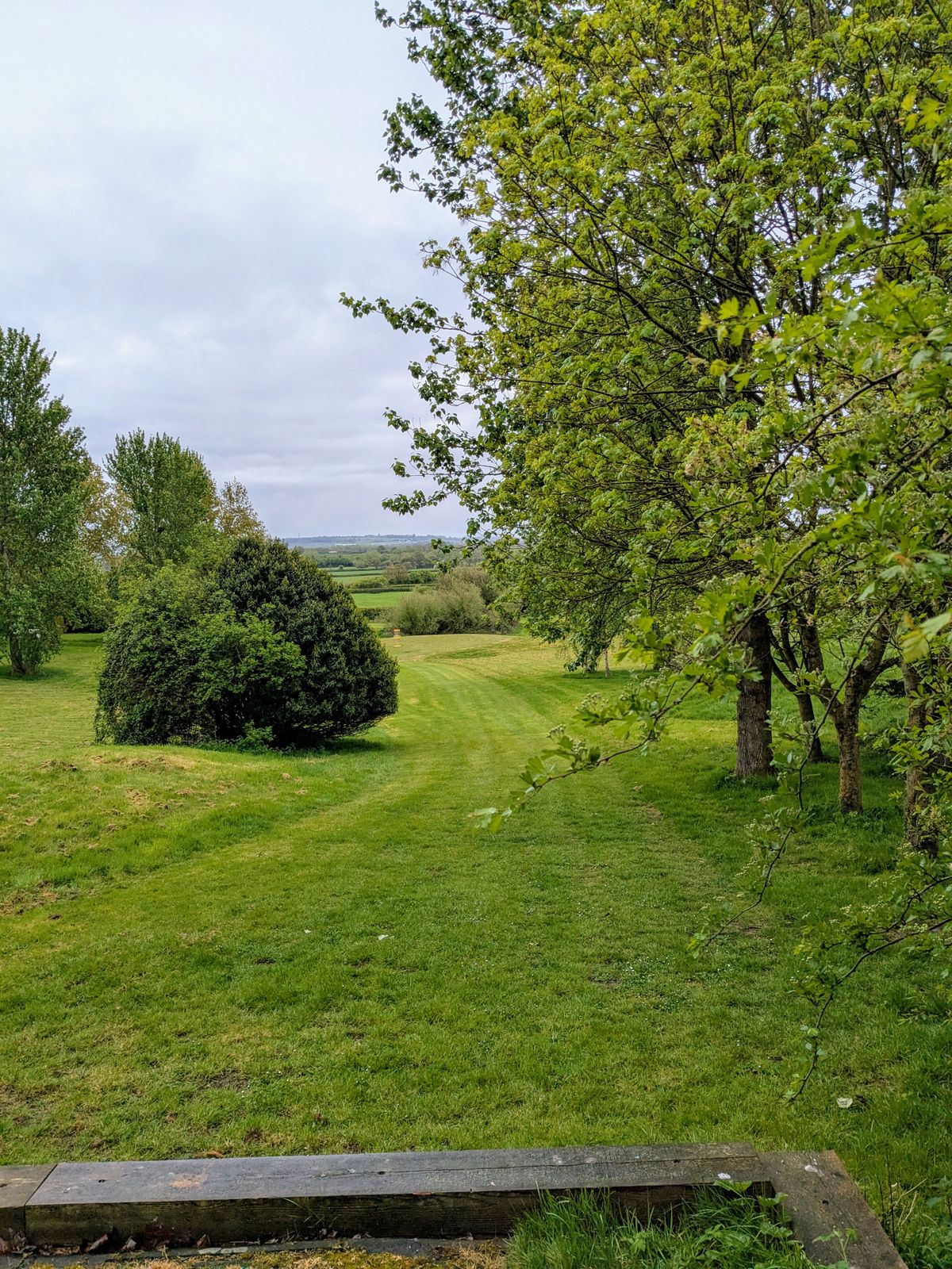 Hole 6 Tee