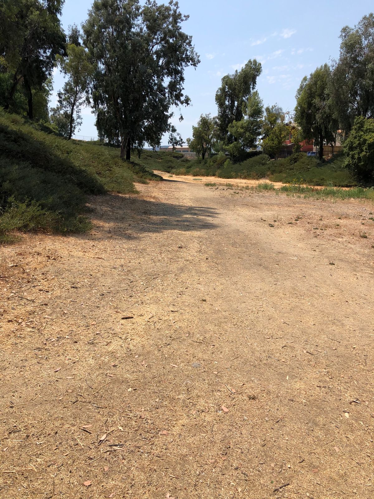 Hole 5