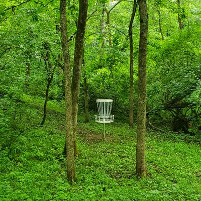 Hole 18 tough tight shot through woods