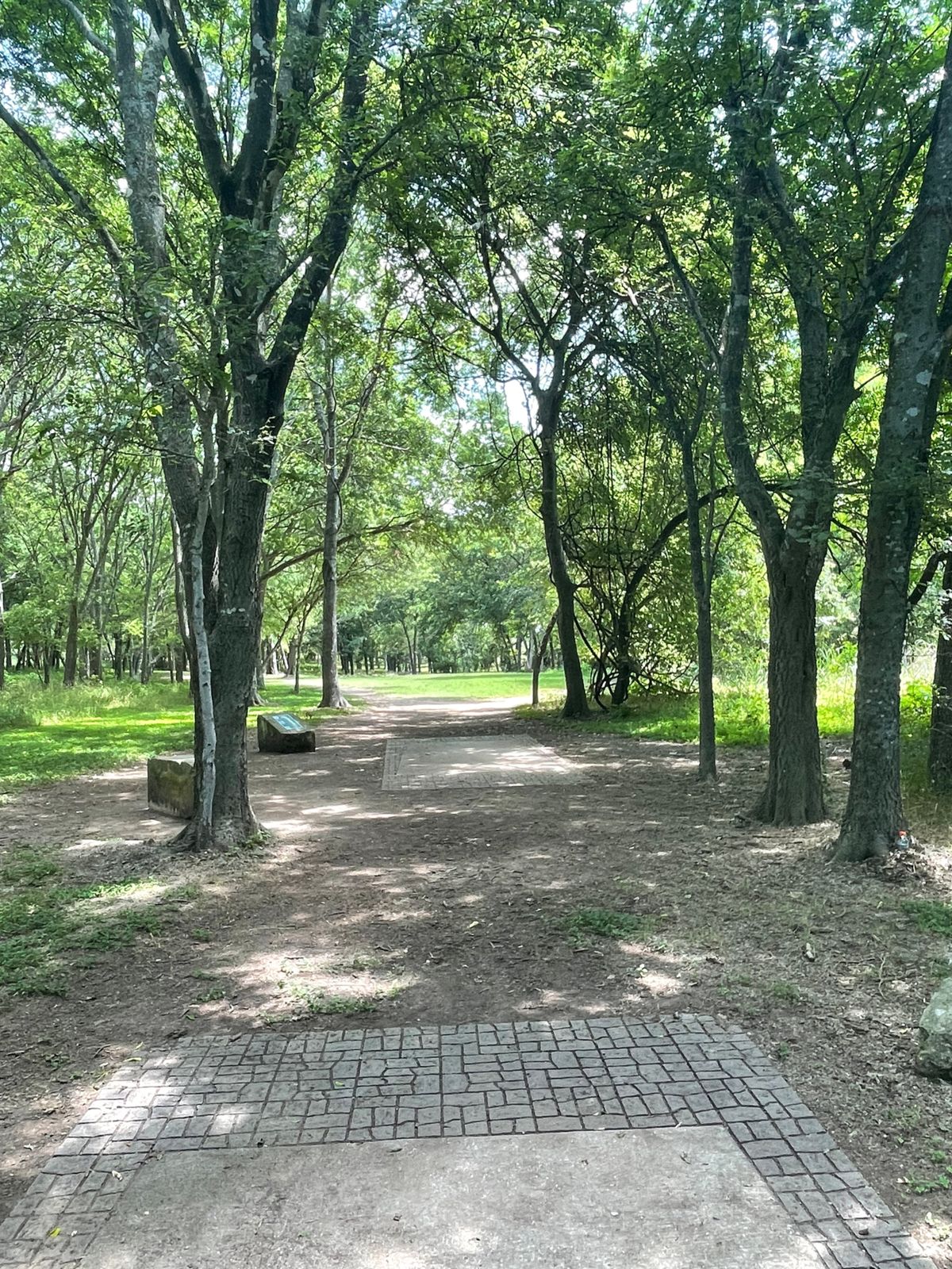 Long teebox