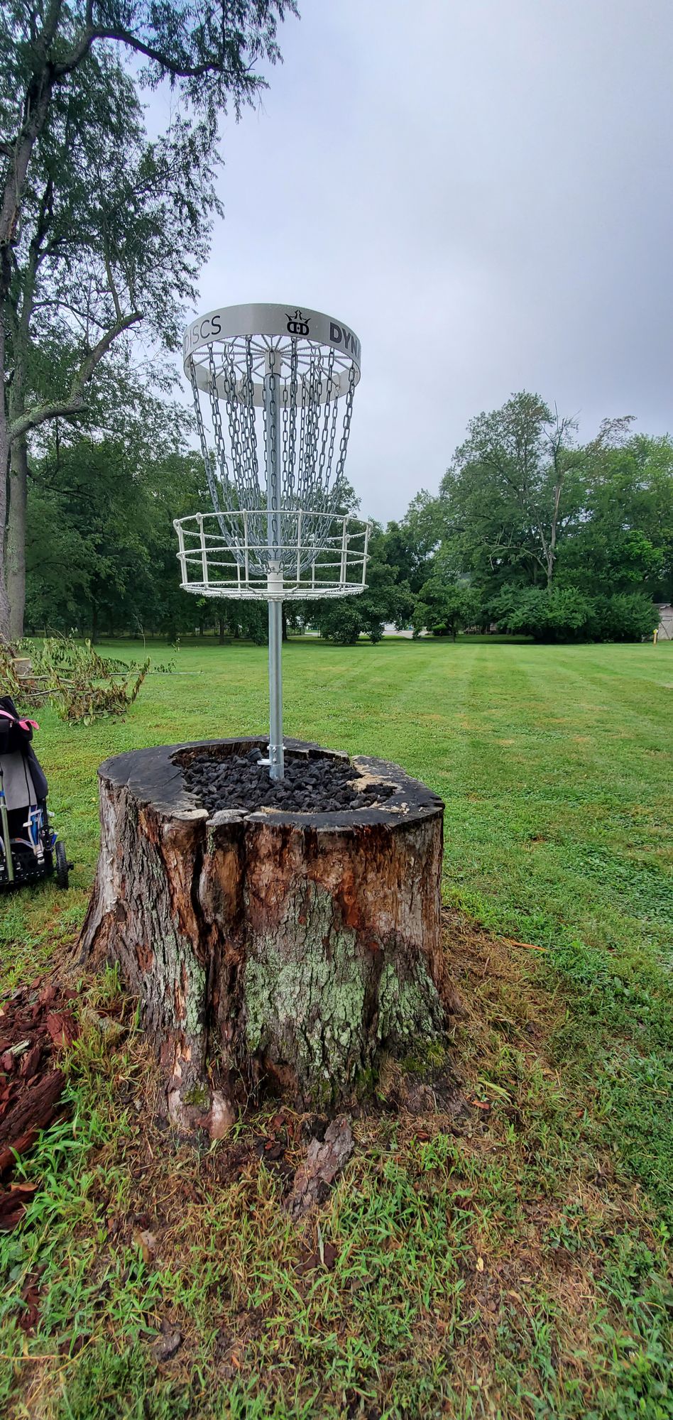 Hole 2 basket looking back at tee